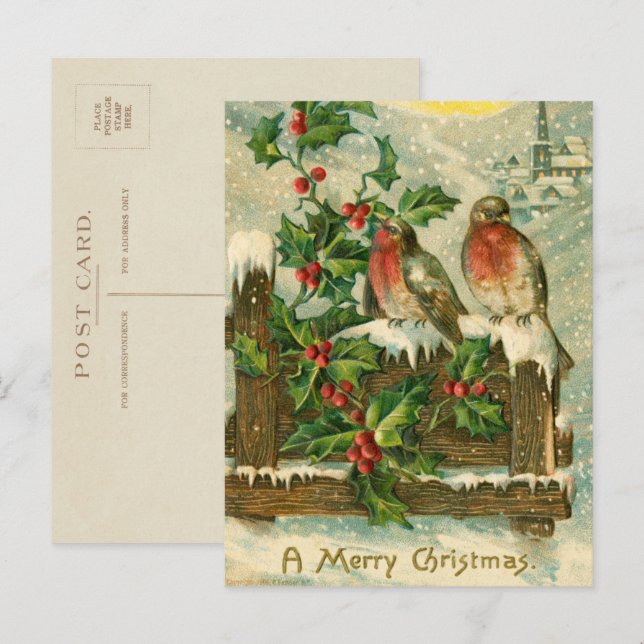 Vintage 1906 Birds in Snow Christmas Holiday Postcard (Front/Back)