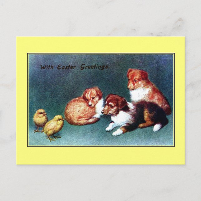 Vintage 1906 Easter greetings; colli puppies Holiday Postcard (Front)