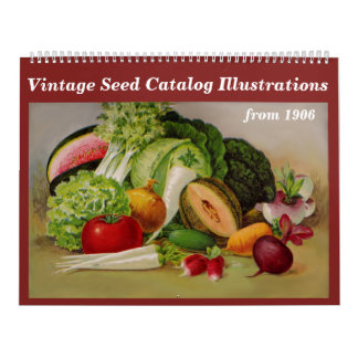 Vintage -1906 - Seed Catalog Illustrations - Calendar