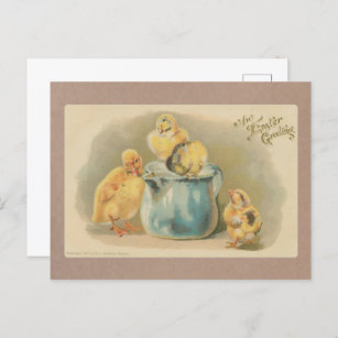 Vintage 1907 Baby Chicks with Milk Pail Easter Postcard