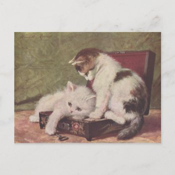 Vintage 1907 Illustration Of Kittens Playing Postcard by AcupunctureProducts at Zazzle