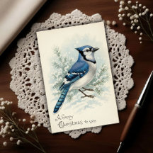 Vintage 1908 Blue Jay Christmas