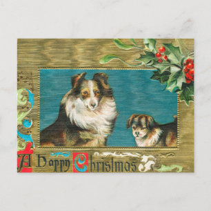 Vintage 1908 Collie Dogs Gold Happy Christmas Holiday Postcard