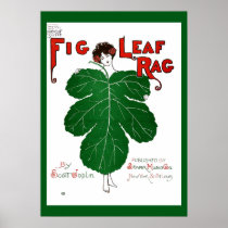 Vintage 1908 Fig Leaf Rag Sheet Music Cover copy
