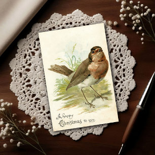 Vintage 1908 Robin Bird Christmas Greeting Postcard
