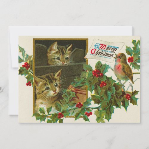 Vintage 1911 Cats with Bird Merry Christmas Card