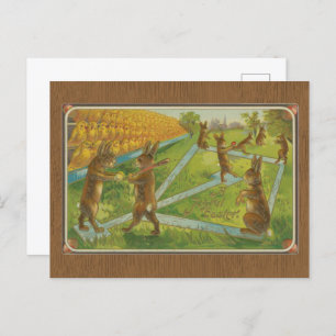 Vintage 1912 Bunny Rabbits Playing Baseball Easter Postcard