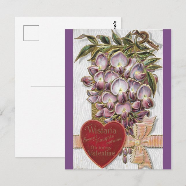 Vintage 1912 Purple Wistaria Postcard (Front/Back)