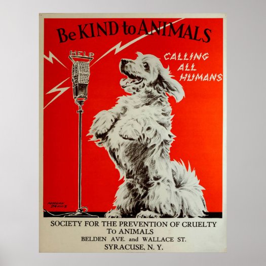 Vintage 1938 Be Kind to Animals Calling All Humans