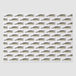 Vintage 19th Century Whale #2 Drawing Tissue Paper