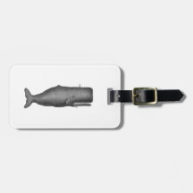 Vintage 19th Century Whale Drawing N