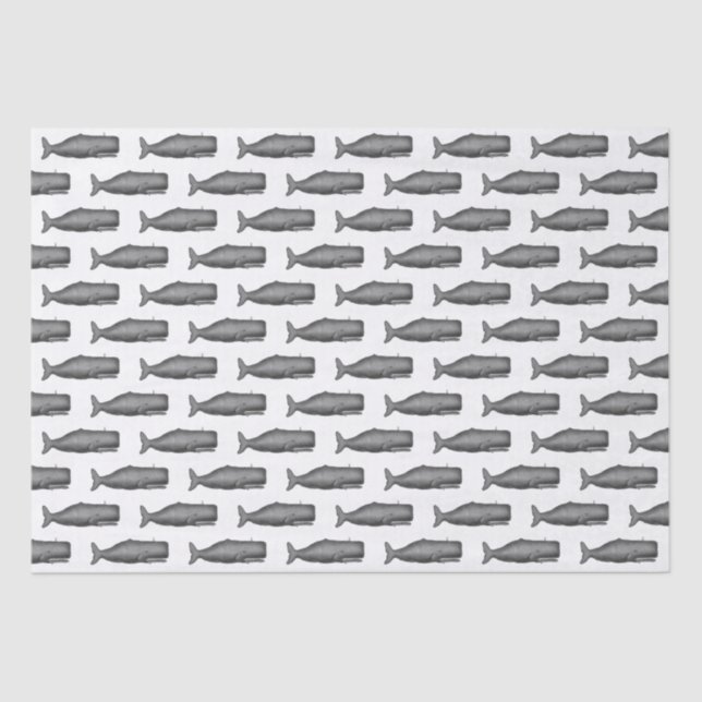 Vintage 19th Century Whale Drawing N Tissue Paper (Front)