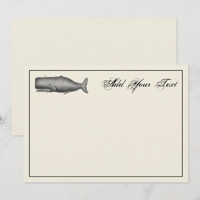 Vintage 19th Century Whale Drawing Note Card (Front/Back)