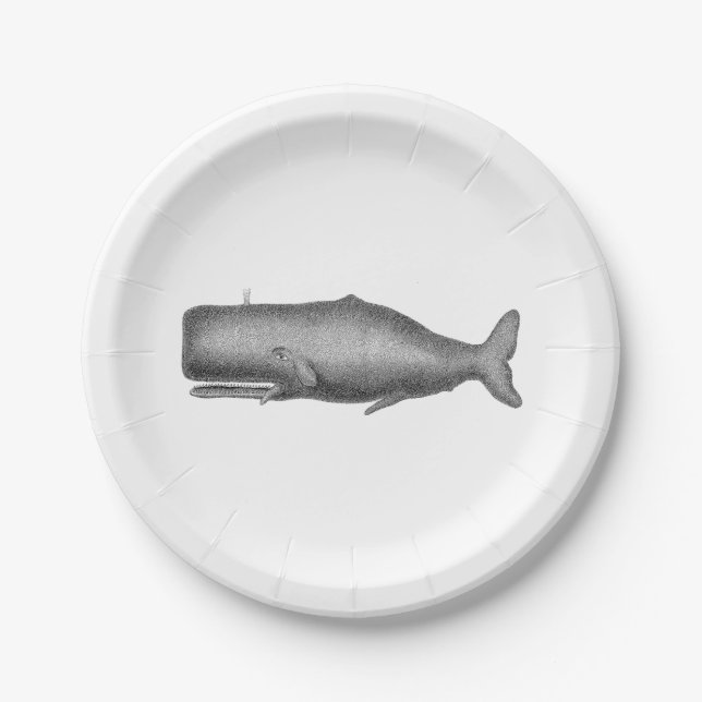 Vintage 19th Century Whale Drawing Paper Plates (Front)