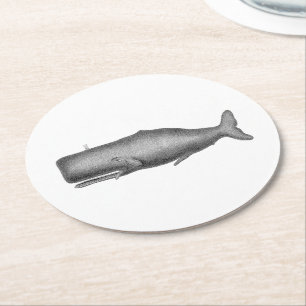 Vintage 19th Century Whale Drawing Round Paper Coaster