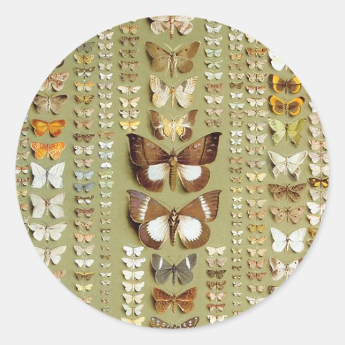 Vintage 374 moths of New Guinea Magic Classic Round Sticker