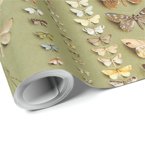 Vintage 374 moths of New Guinea Wrapping Paper