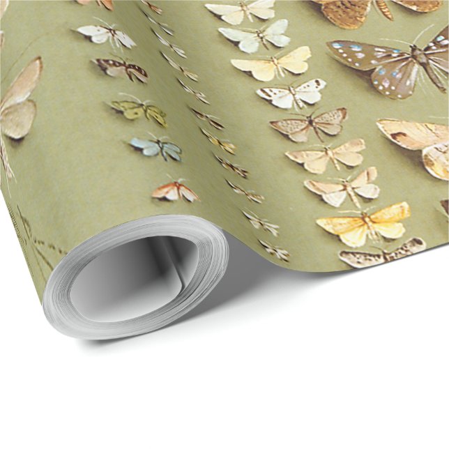 Vintage 374 moths of New Guinea Wrapping Paper (Roll Corner)