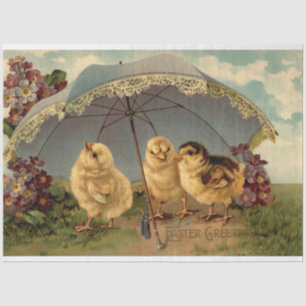 Vintage 3 Chickens Easter Holiday Tissue Paper