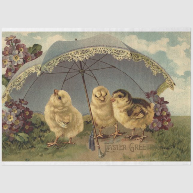 Vintage 3 Chickens Easter Holiday Tissue Paper (Front)