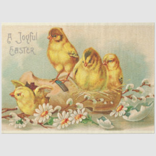 Vintage 4 Chickens Easter Holiday Tissue Paper