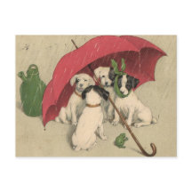 Vintage 4 Dogs Under Umbrella Postcard