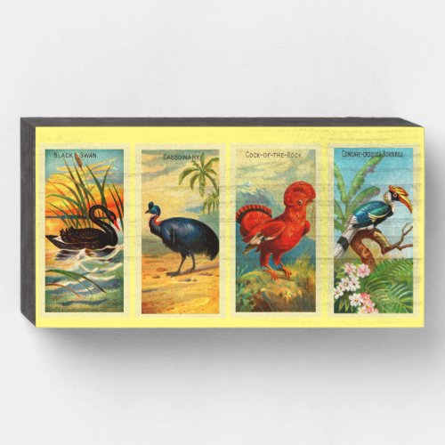 Vintage 4 Tropical Bird Illustration Black Swan  Wooden Box Sign