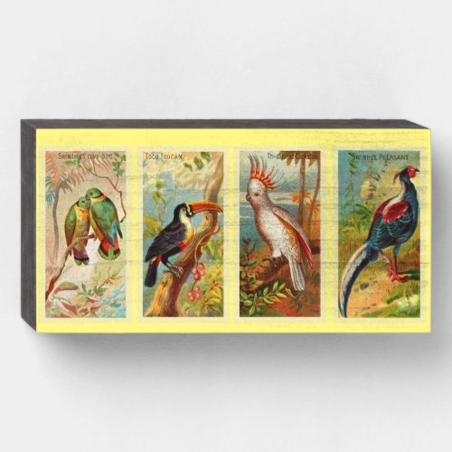 Vintage 4 Tropical Bird Illustration Swindern Love Wooden Box Sign