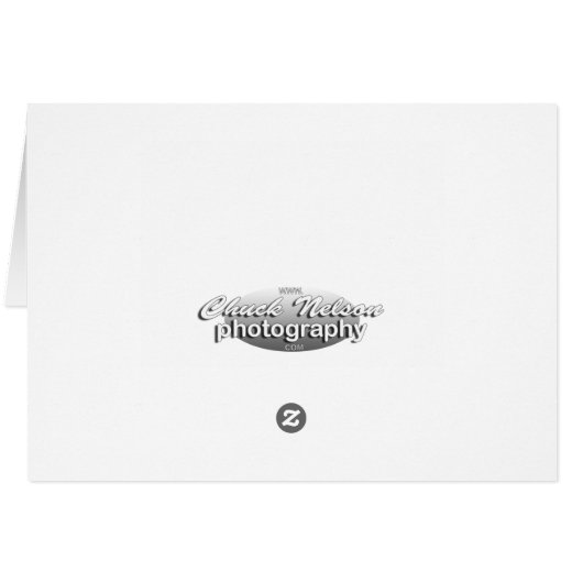 VINTAGE ABANDONED HOUSE (Back Horizontal)