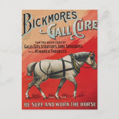 Vintage Ad For Bickmores Gall Cure For Horses Postcard