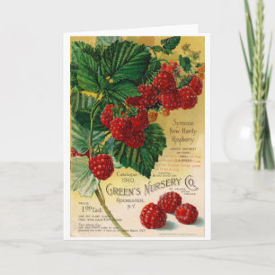 Vintage Ad for Raspberry Plants Card