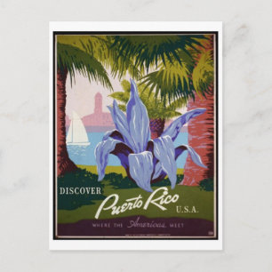 Vintage Ad Poster Postcard