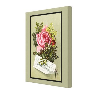 Vintage Ad with Pretty Pink Cabbage Rose Canvas Print