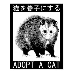 Vintage Adopt A Cat Possum Japanese Opossum  Poster