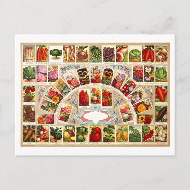 Vintage Advertisement for Produce & Flower Seeds Postcard (Front)