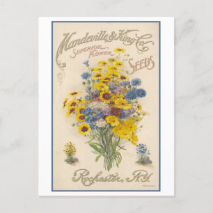Vintage Advertisement Mandeville Flower Seeds Postcard