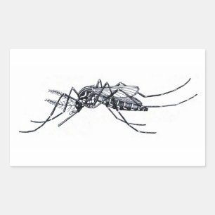 Vintage Aedes aegypti illustration Rectangular Sticker