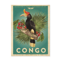 Vintage Africa Travel Postcard