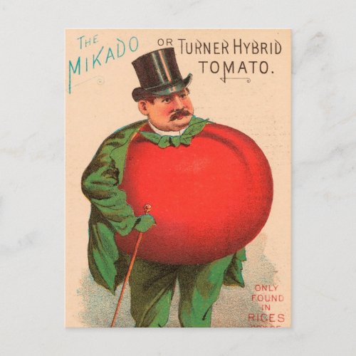 Vintage  agriculture advertising _ postcard