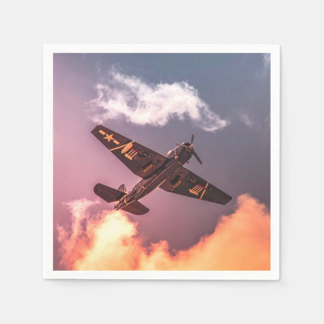 Vintage Airplane Beautiful Sky Napkins (Front)