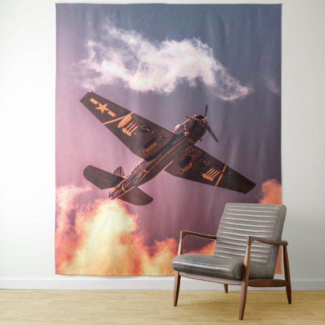Vintage Airplane Beautiful Sky Tapestry (In Situ)