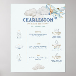 Vintage Airplane Blue Milestone Birthday Poster