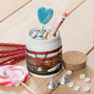 Vintage Airplane by Shirley Taylor Candy Jar