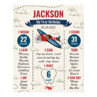 Vintage Airplane First Birthday Milestone Sign 