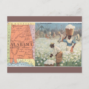 Vintage Alabama Cotton Picking Postcard