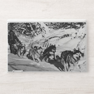 Vintage Alaska eskimo Malamute sled racing HP Laptop Skin