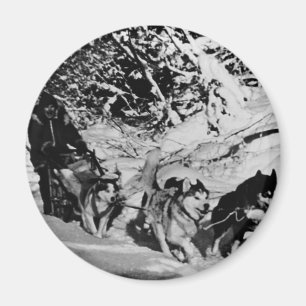 Vintage Alaska eskimo Malamute sled racing Magnet