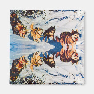 Vintage Alaska eskimo Malamute sled racing Magnet