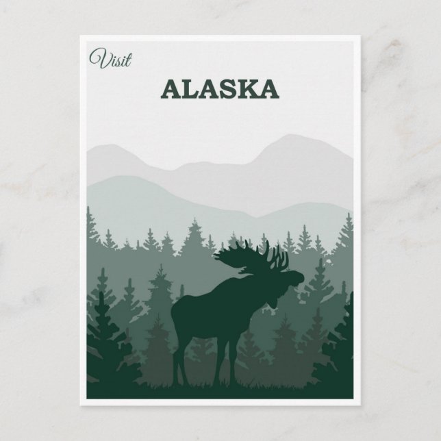 Vintage Alaska Nature Moose Travel Postcard (Front)