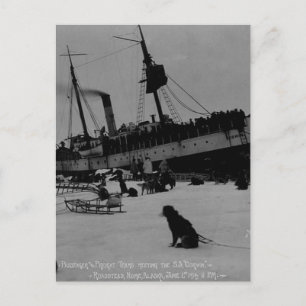Vintage Alaska Postcard